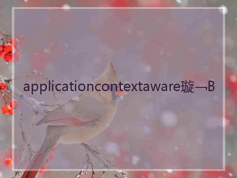 applicationcontextaware璇﹁В