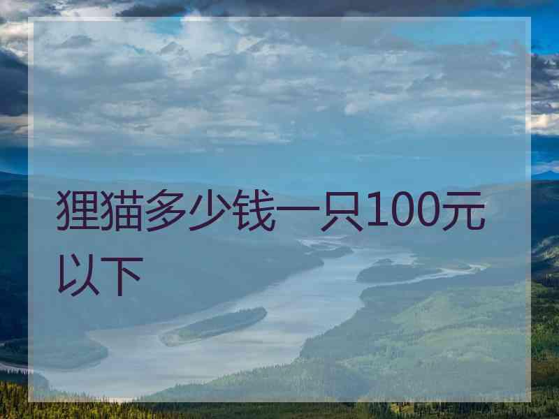 狸猫多少钱一只100元以下