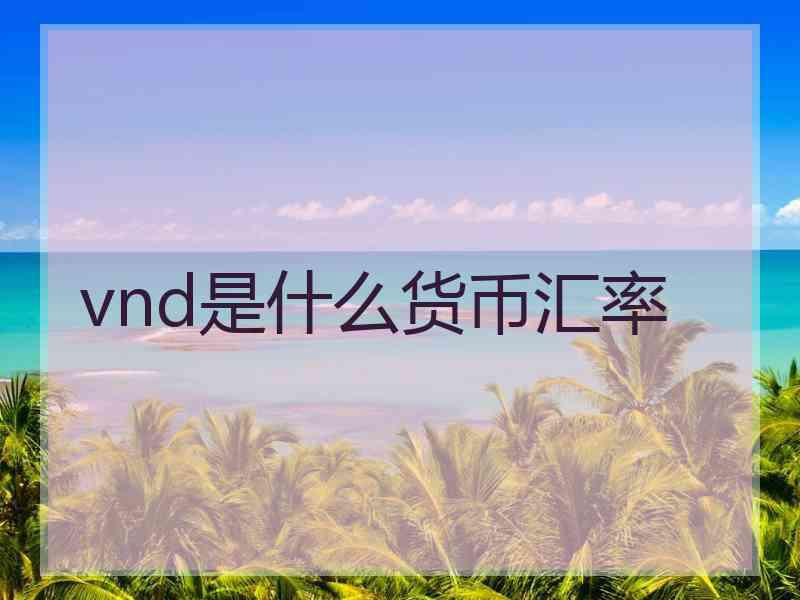 vnd是什么货币汇率