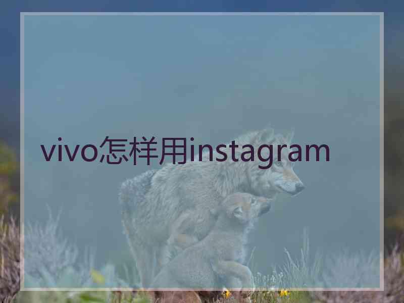 vivo怎样用instagram