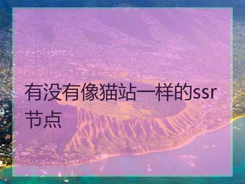 有没有像猫站一样的ssr节点