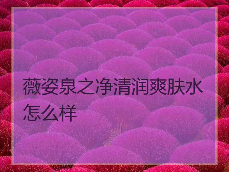 薇姿泉之净清润爽肤水怎么样