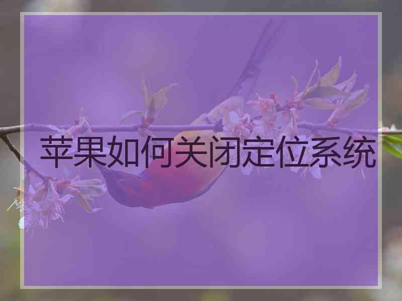 苹果如何关闭定位系统