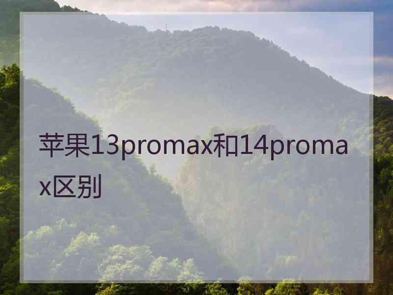 苹果13promax和14promax区别