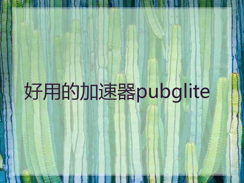 好用的加速器pubglite