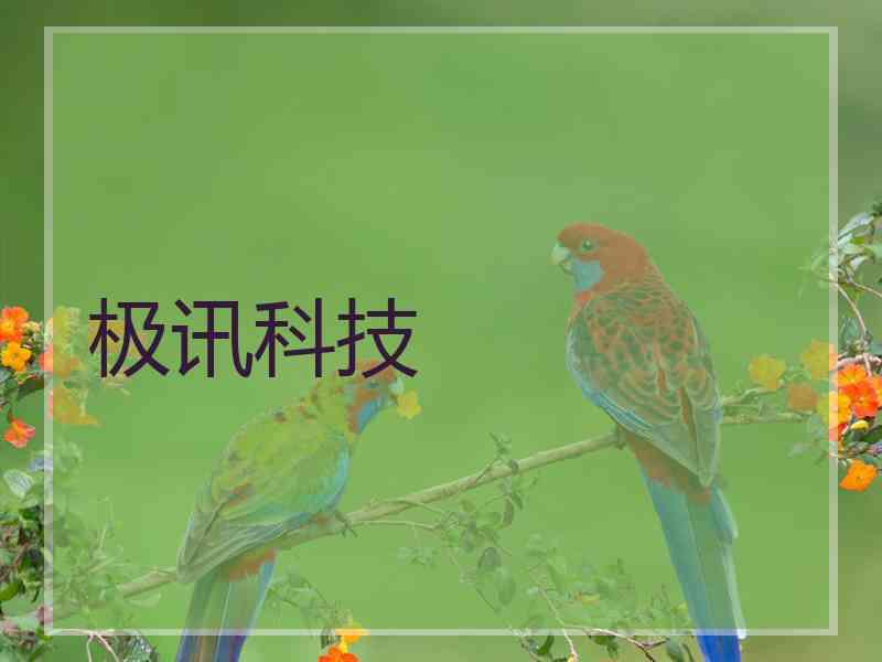 极讯科技