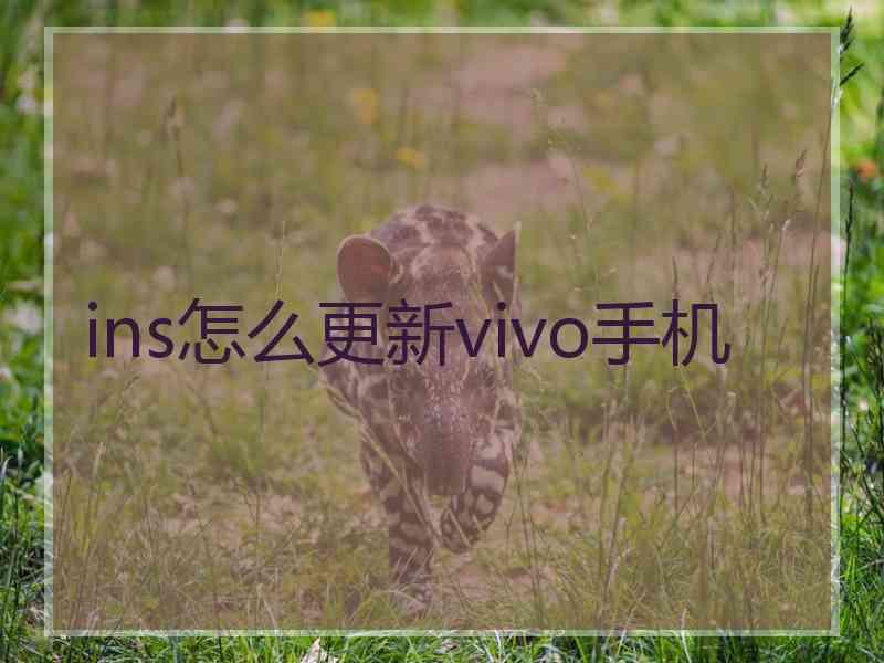 ins怎么更新vivo手机