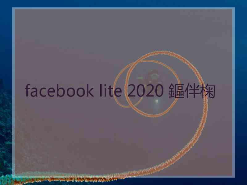 facebook lite 2020 鏂伴椈