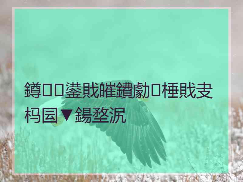 鐏鍙戝皠鐨勮棰戝叏杩囩▼鍚堥泦