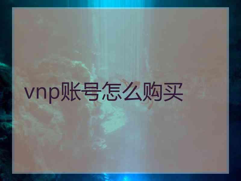 vnp账号怎么购买