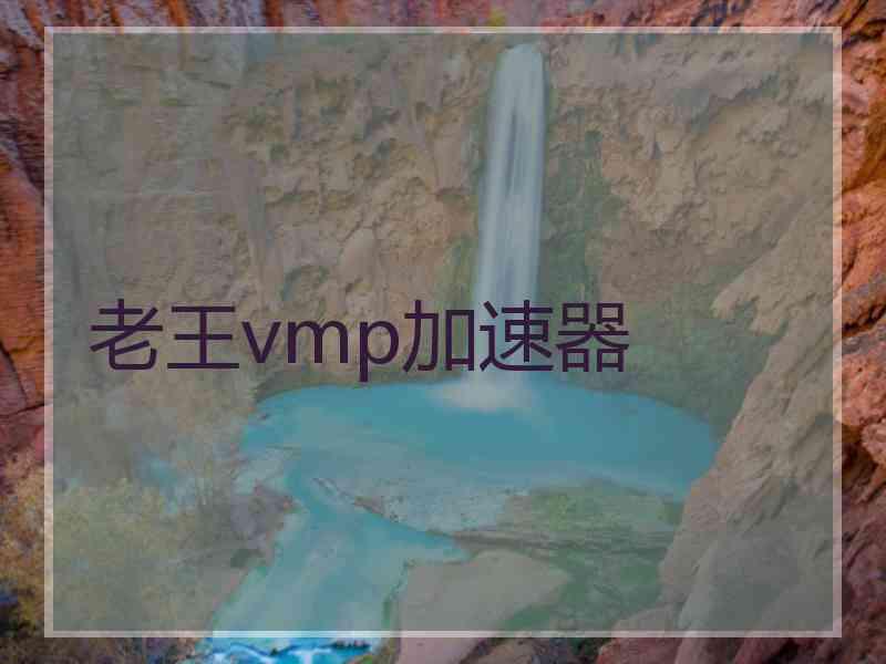 老王vmp加速器