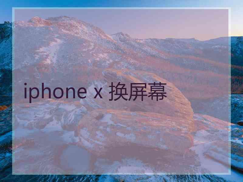 iphone x 换屏幕