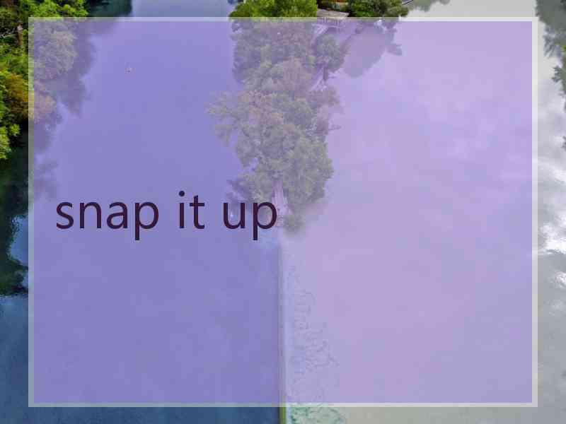 snap it up