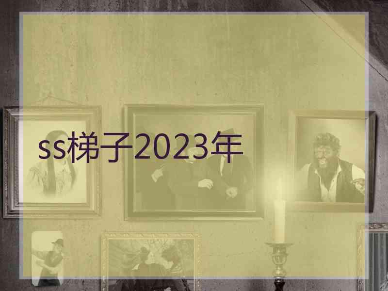 ss梯子2023年