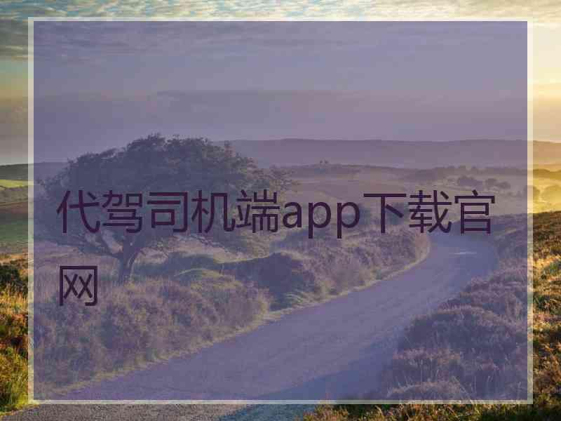 代驾司机端app下载官网