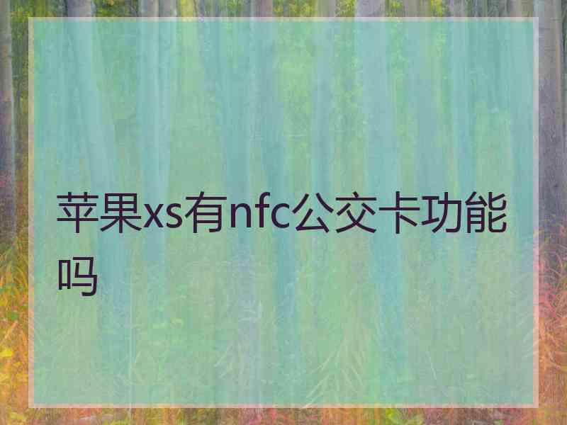 苹果xs有nfc公交卡功能吗