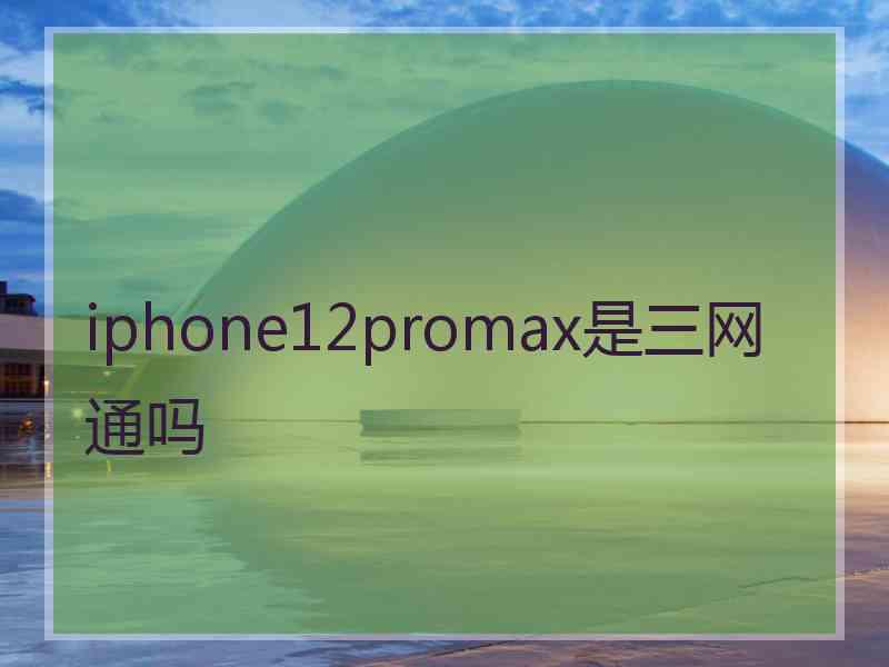 iphone12promax是三网通吗