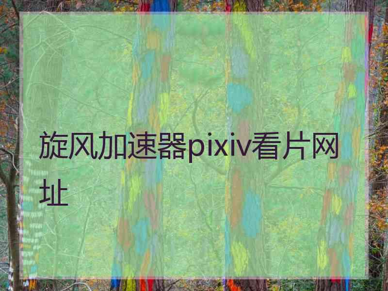 旋风加速器pixiv看片网址