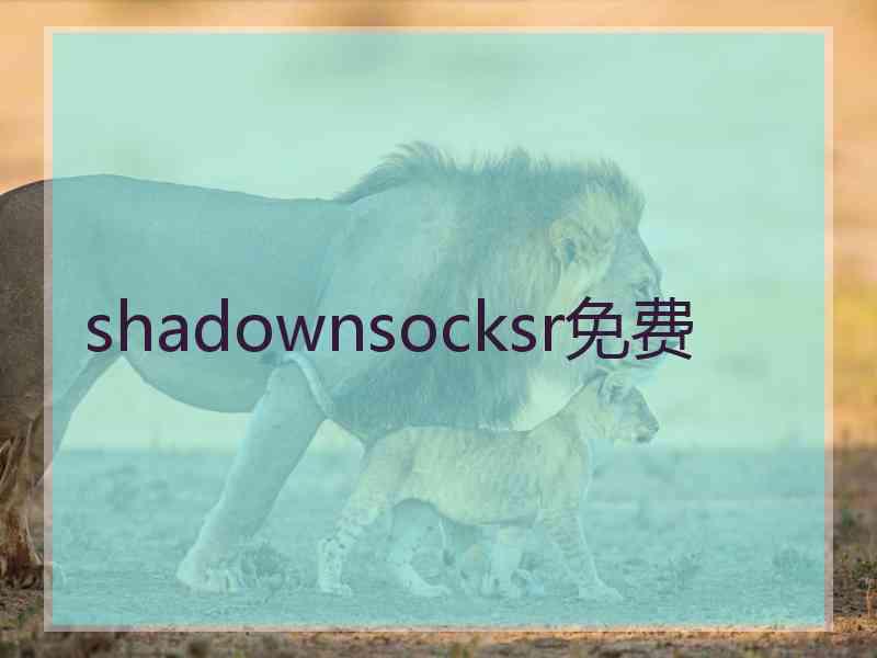 shadownsocksr免费