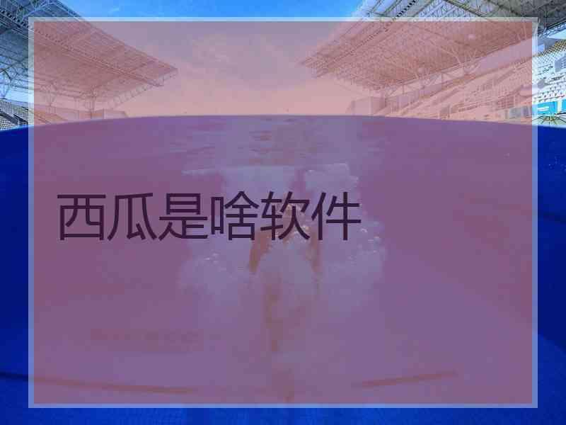 西瓜是啥软件