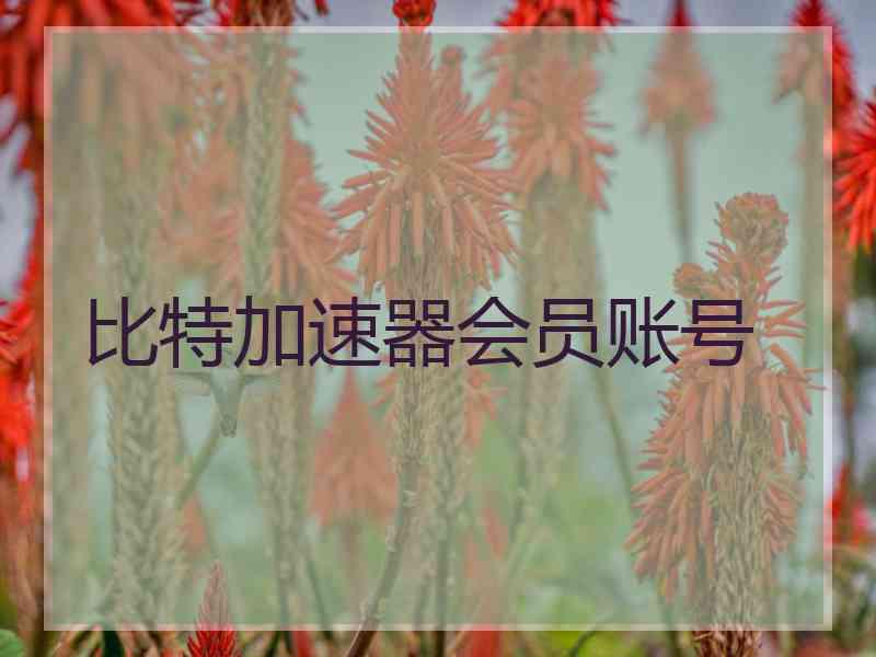 比特加速器会员账号