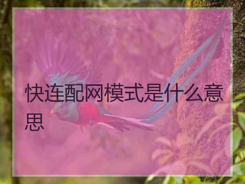 快连配网模式是什么意思