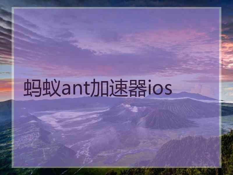 蚂蚁ant加速器ios