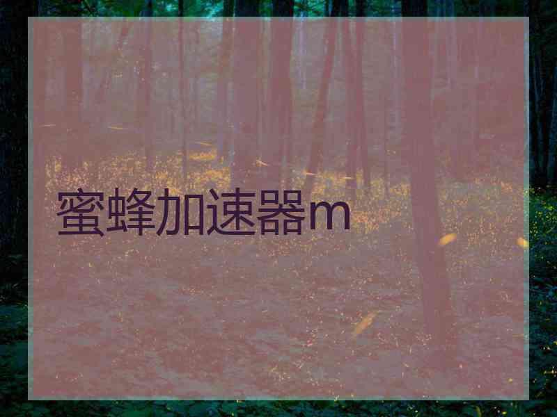 蜜蜂加速器m