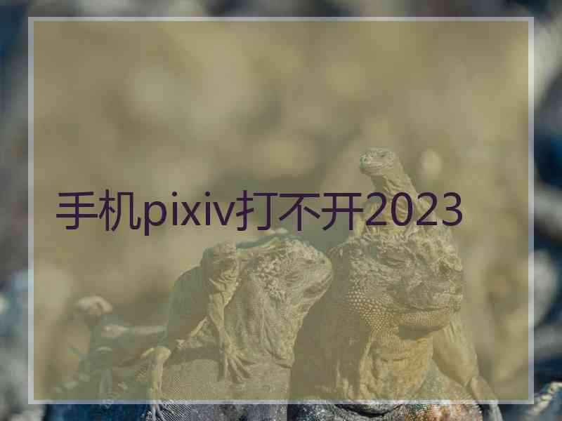 手机pixiv打不开2023