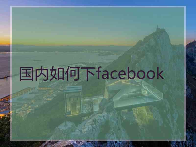 国内如何下facebook