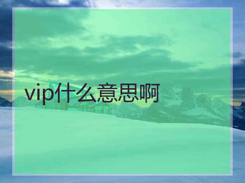 vip什么意思啊