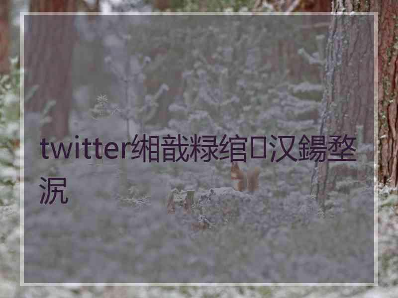 twitter缃戠粶绾汉鍚堥泦