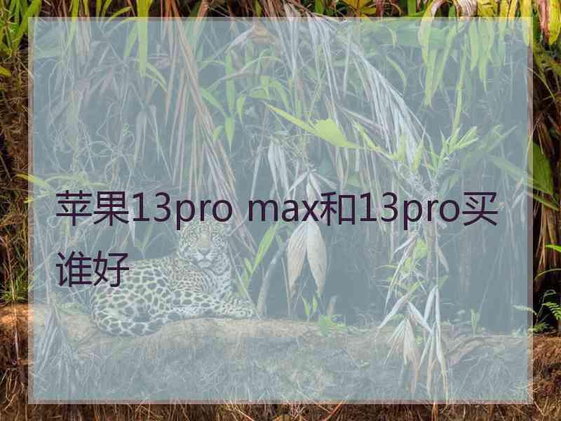 苹果13pro max和13pro买谁好