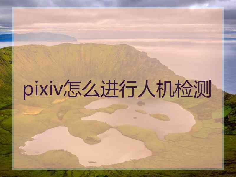 pixiv怎么进行人机检测