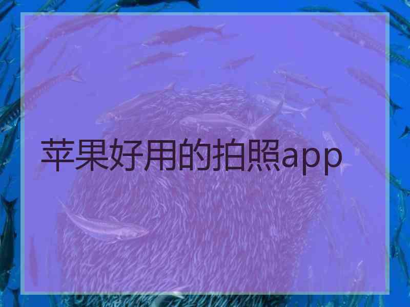 苹果好用的拍照app