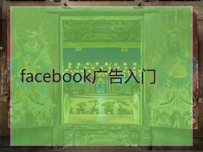 facebook广告入门