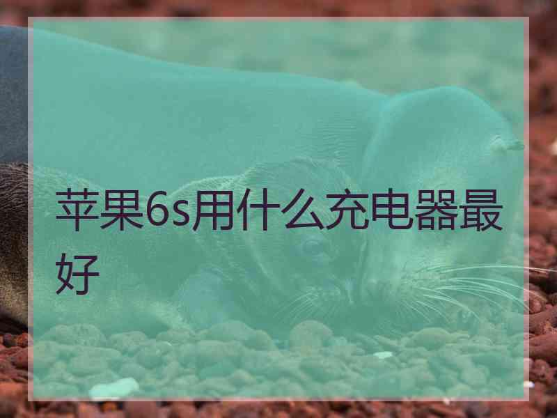 苹果6s用什么充电器最好