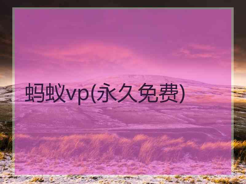 蚂蚁vp(永久免费)