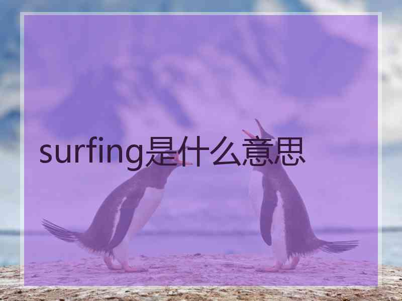 surfing是什么意思