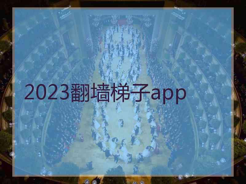 2023翻墙梯子app