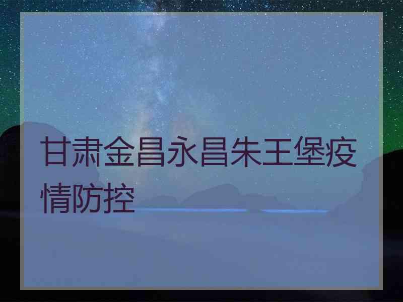 甘肃金昌永昌朱王堡疫情防控