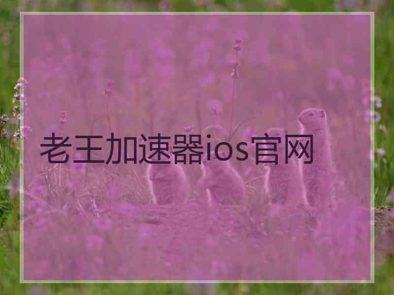 老王加速器ios官网