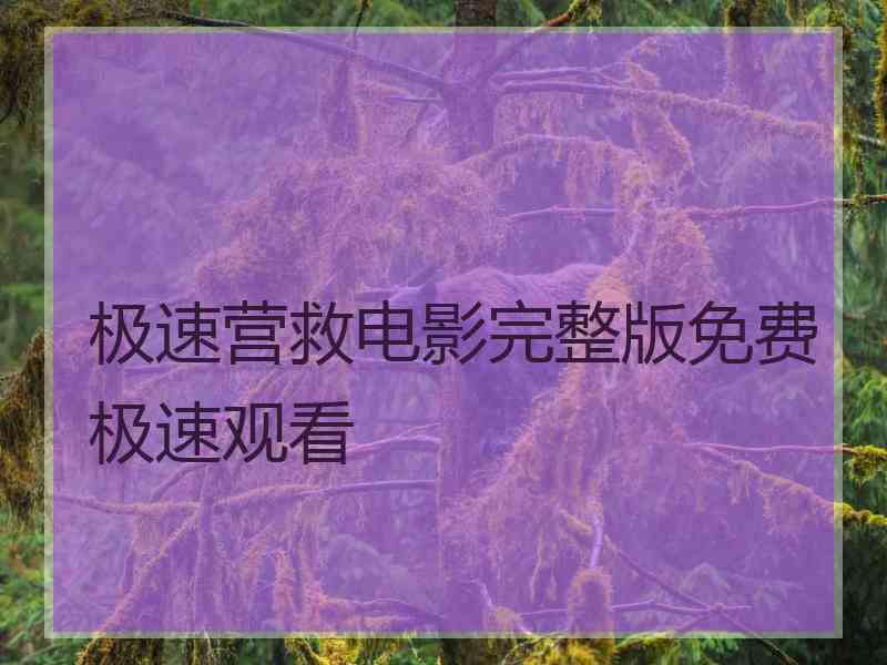 极速营救电影完整版免费极速观看