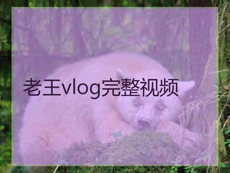 老王vlog完整视频