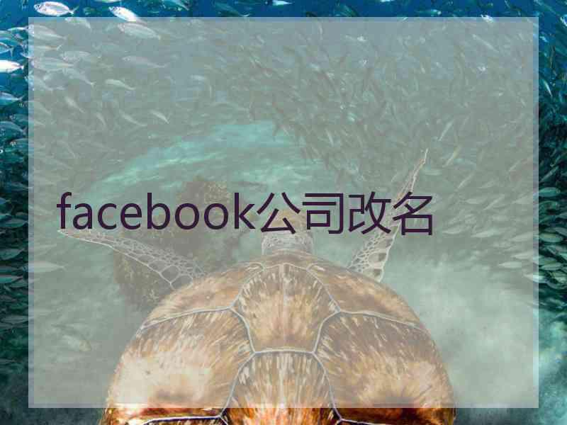 facebook公司改名