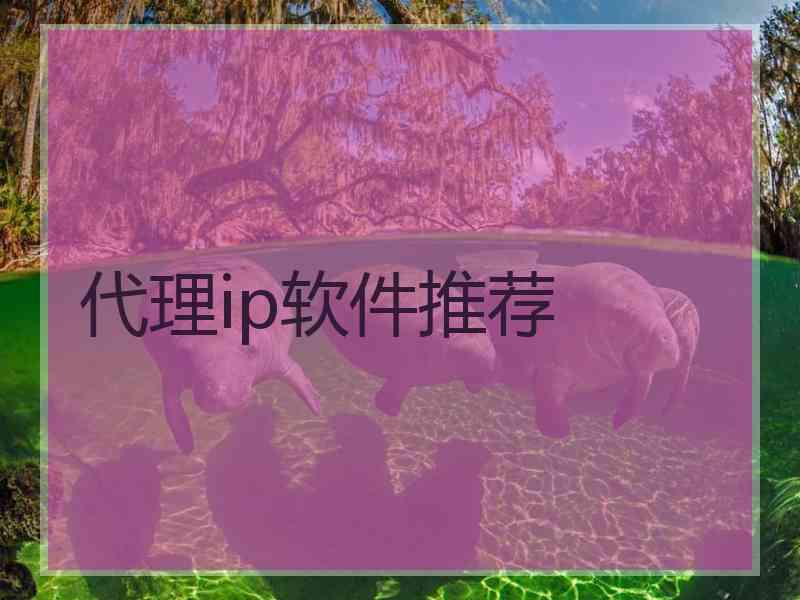 代理ip软件推荐