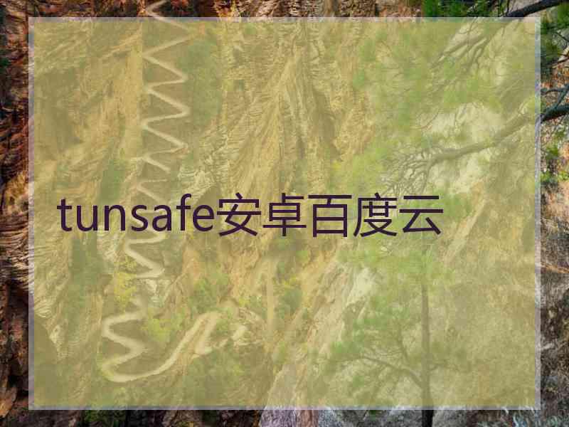 tunsafe安卓百度云