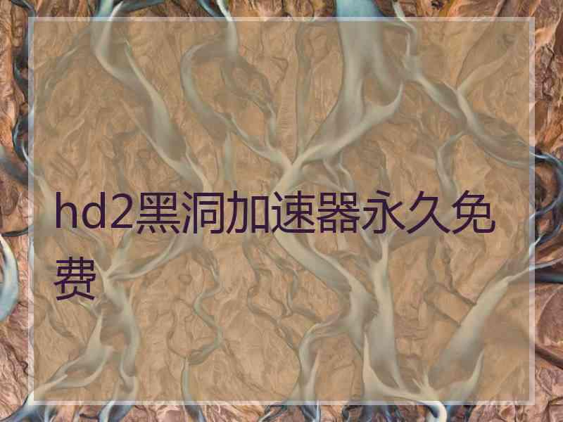 hd2黑洞加速器永久免费