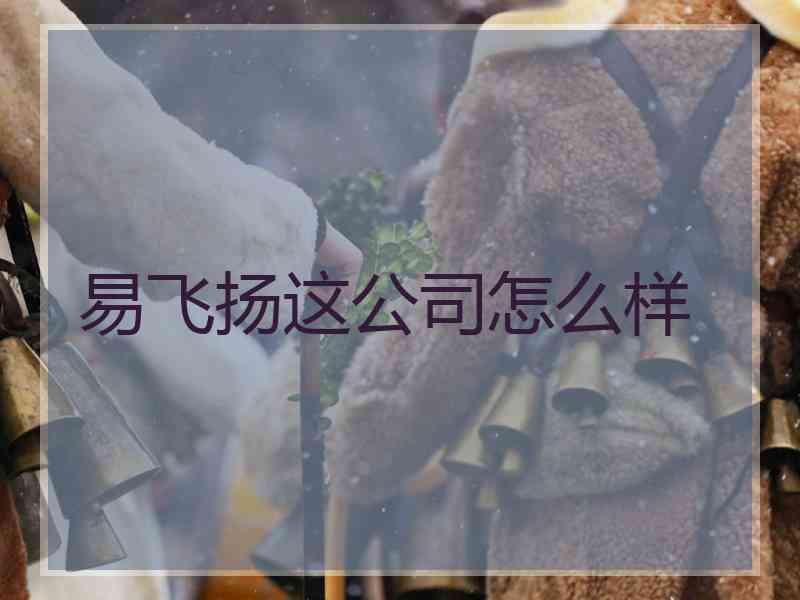 易飞扬这公司怎么样