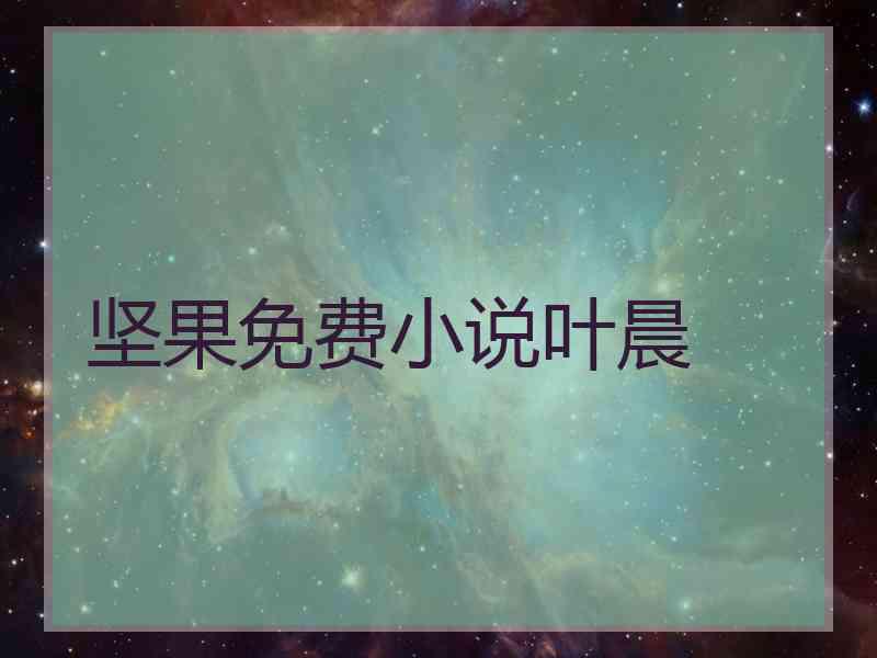 坚果免费小说叶晨